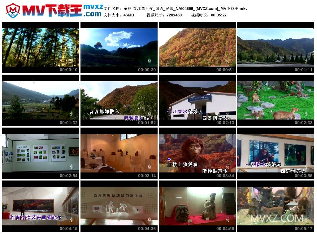 童丽-春江花月夜_国语_民歌_NAI04866